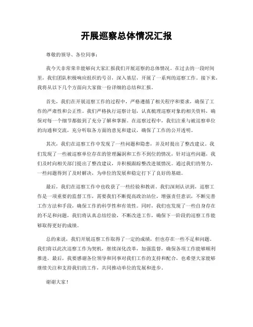 开展巡察总体情况汇报