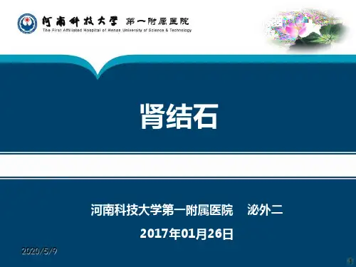 肾结石PPT课件