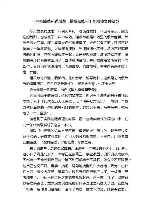 一味抗癌草药猫爪草，是散结能手！能散掉各种结节