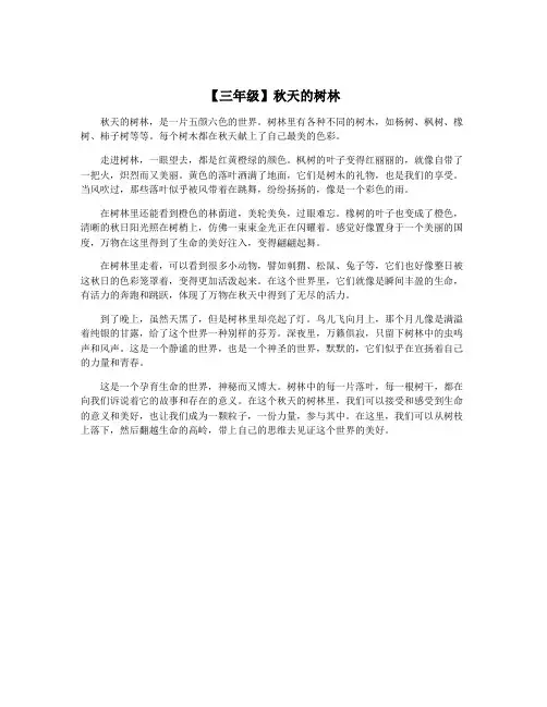 【三年级】秋天的树林
