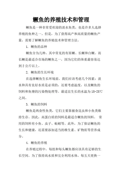 鳜鱼的养殖技术和管理