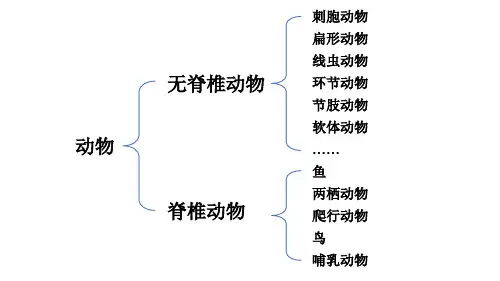 2024年秋人教七年级生物上册 二 两栖动物和爬行动物(课件)