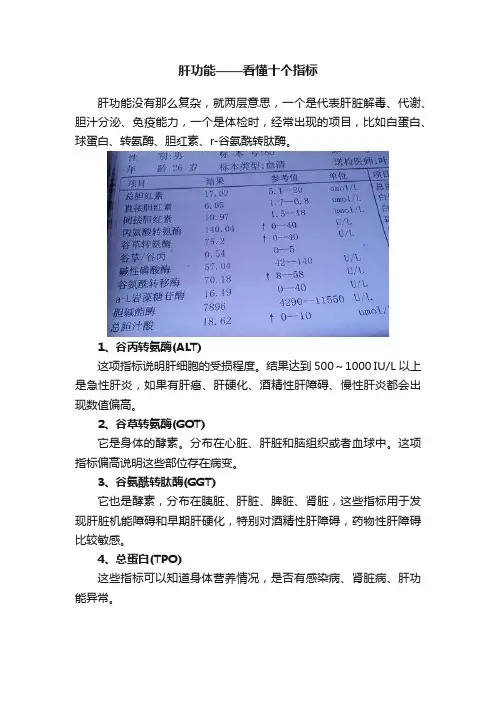 肝功能——看懂十个指标