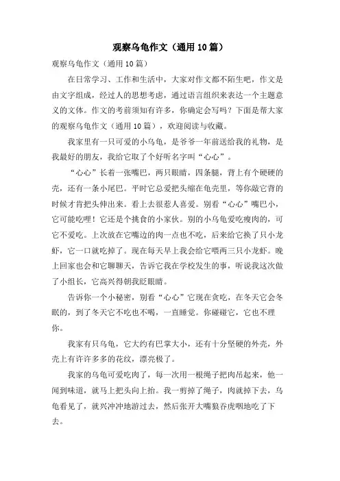 观察乌龟作文(通用10篇)