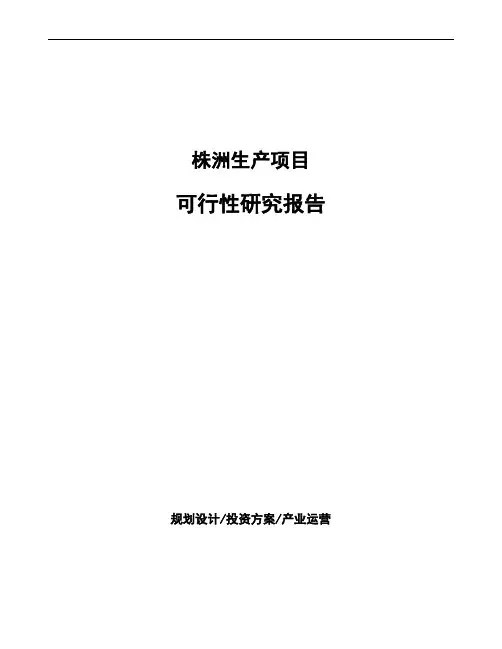 株洲项目可行性研究报告