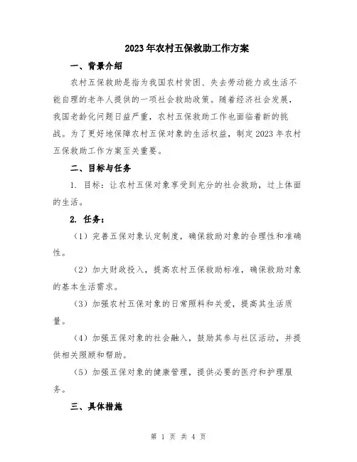 2023年农村五保救助工作方案