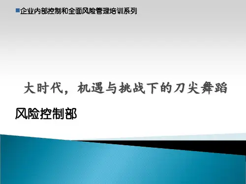 内部控制培训ppt课件