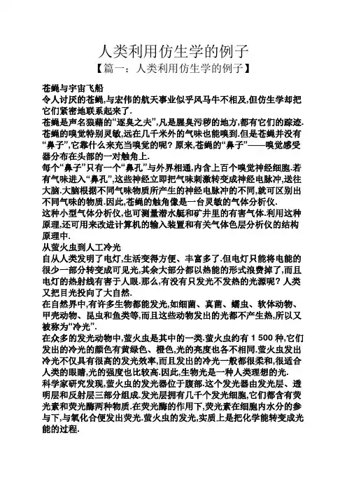 人类利用仿生学的例子
