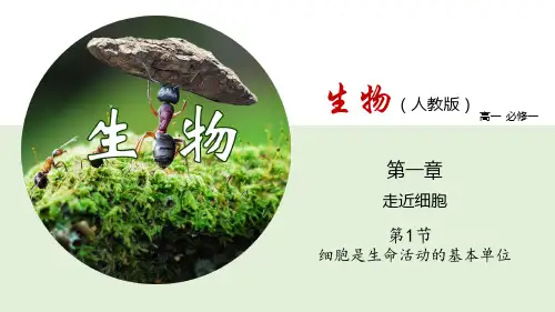 1.1细胞是生命活动的基本单位