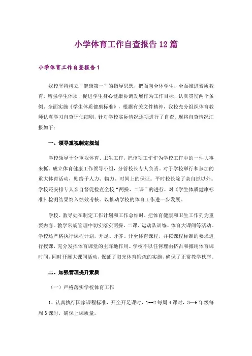 小学体育工作自查报告12篇