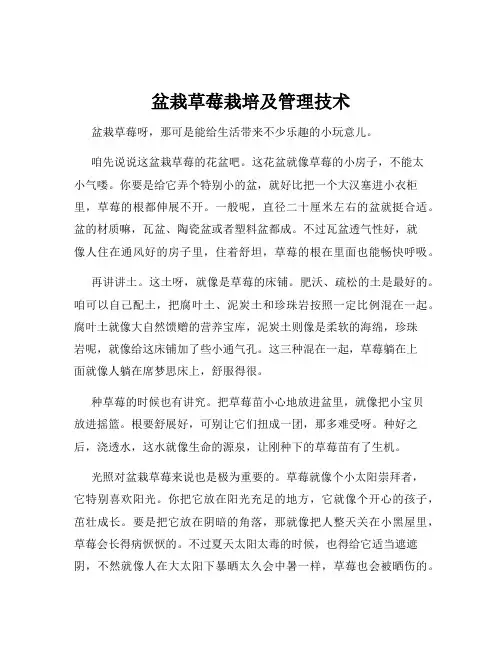 盆栽草莓栽培及管理技术