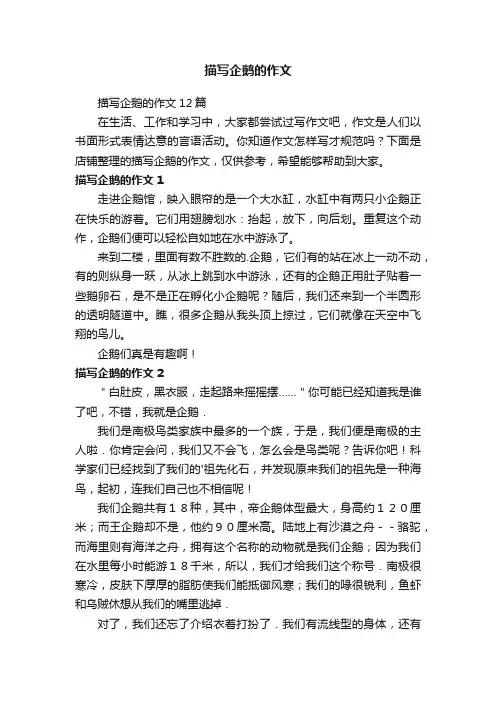 描写企鹅的作文