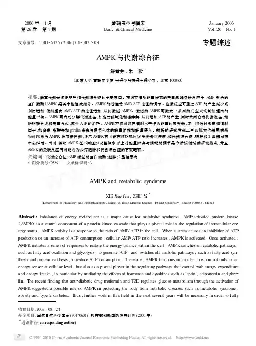 AMPK与代谢综合征