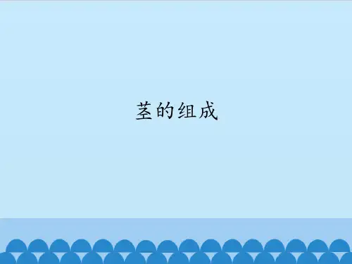 四年级上册科学课件-6 茎的组成-首师大版 (共12张PPT)
