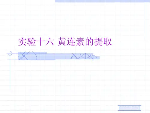 16黄连素的提取