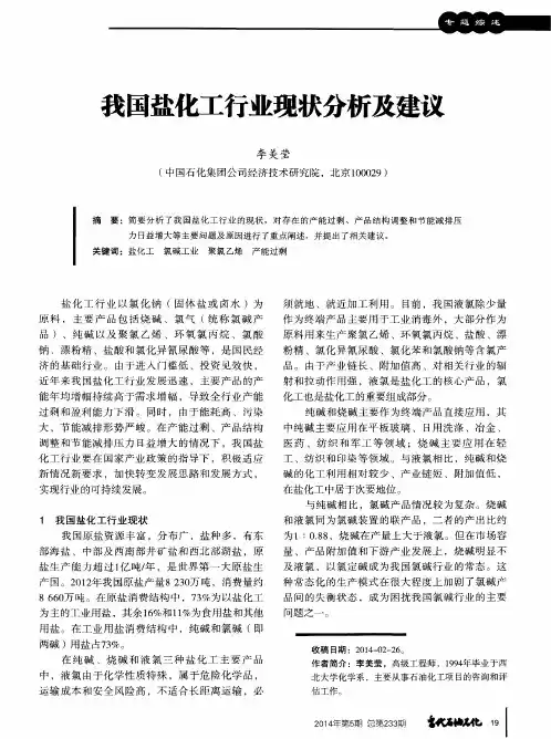 我国盐化工行业现状分析及建议