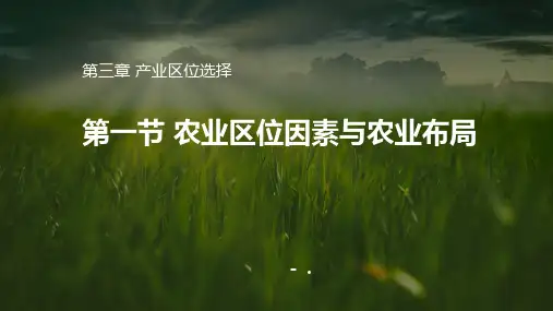 《农业区位因素与农业布局》产业区位选择PPT