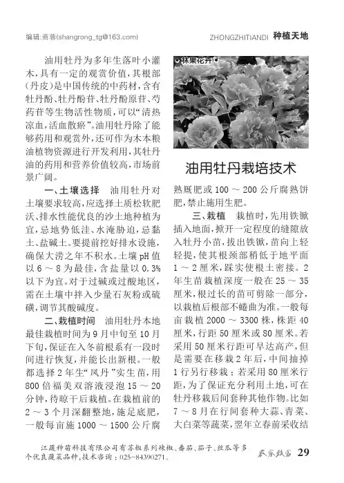 油用牡丹栽培技术