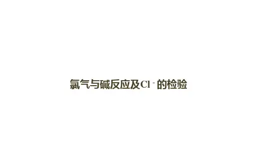 氯气与碱的反应及氯离子的检验课件