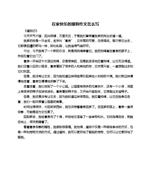 在家快乐的遛狗作文怎么写