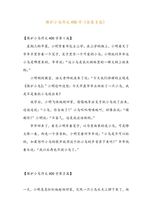 保护小鸟作文400字(合集3篇)