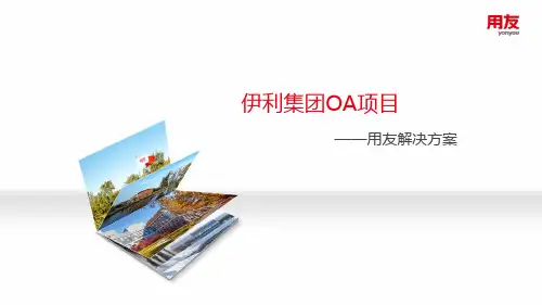 2020年伊利集团：协同业务解决方案v1.0