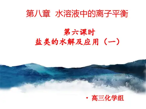 人教版《盐类的水解》公开课课件PPT