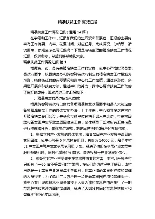 精准扶贫工作情况汇报