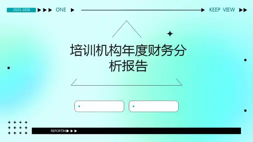 培训机构年度财务分析报告(1)