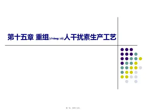 重组人干扰素生产工艺(精品PPT)