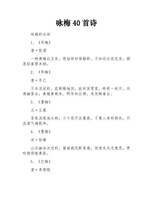 咏梅40首诗