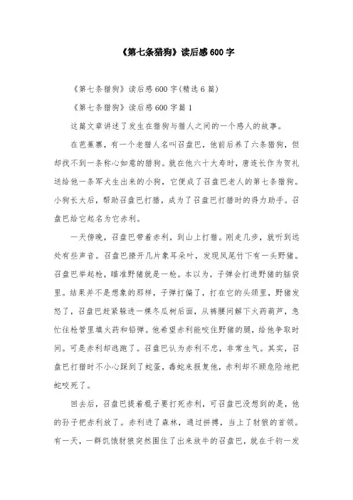 《第七条猎狗》读后感600字