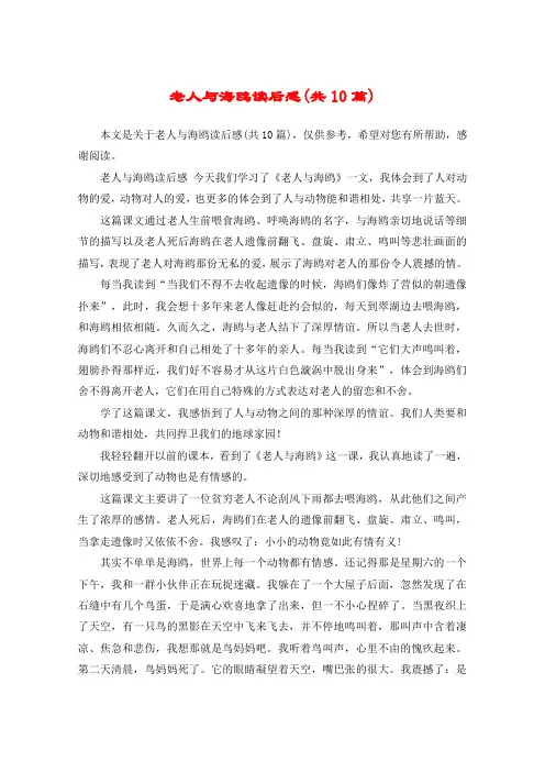 老人与海鸥读后感(共10篇)
