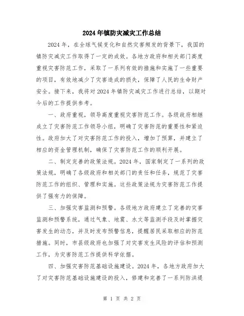 2024年镇防灾减灾工作总结