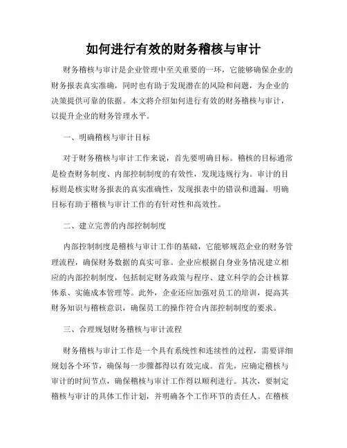 如何进行有效的财务稽核与审计