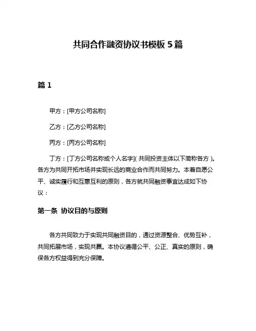 共同合作融资协议书模板5篇