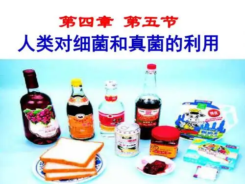 第四章第五节人类对细菌和真菌的利用总结
