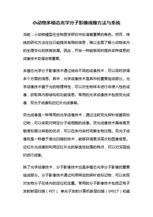 小动物多模态光学分子影像成像方法与系统