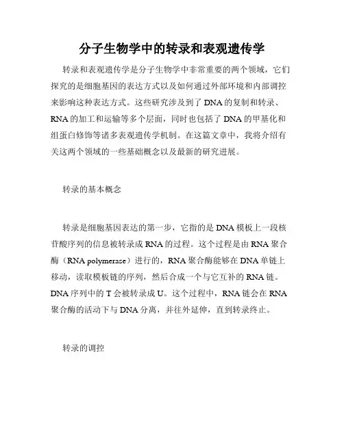 分子生物学中的转录和表观遗传学