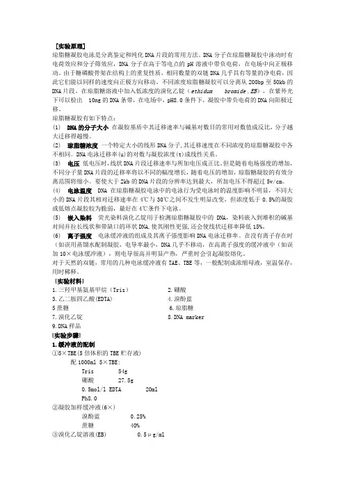 DNA 电泳