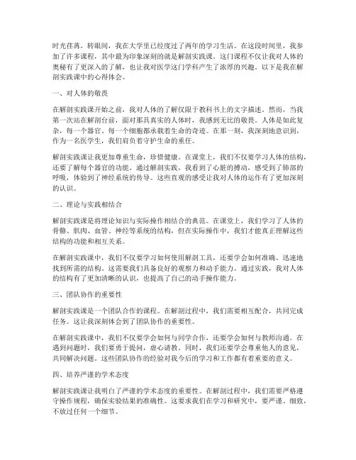 大学解剖实践课心得体会
