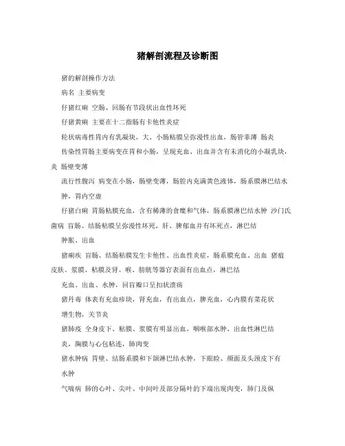 猪解剖流程及诊断图