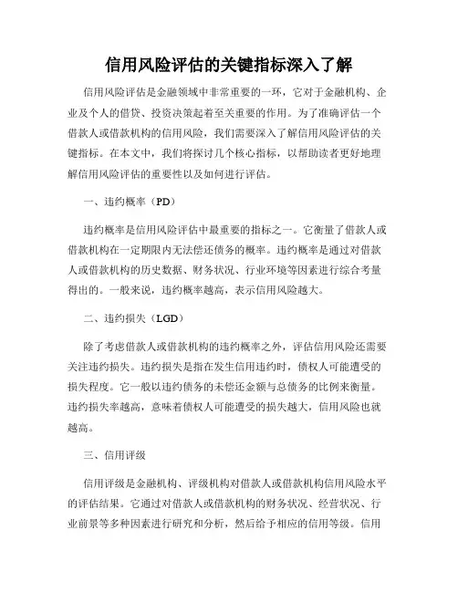 信用风险评估的关键指标深入了解