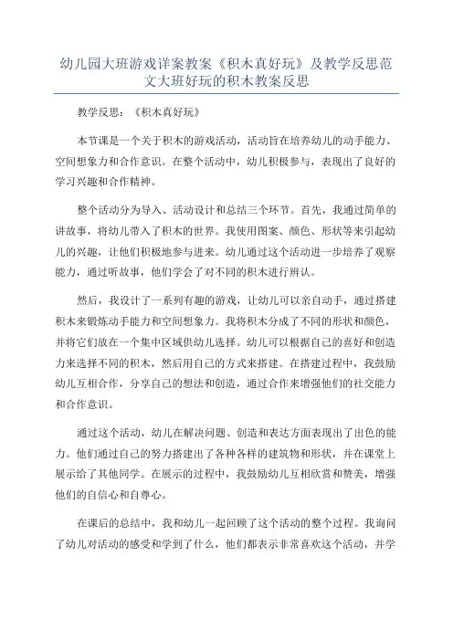幼儿园大班游戏详案教案《积木真好玩》及教学反思范文大班好玩的积木教案反思