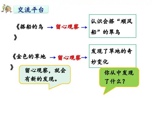 三年级上语文课件习作我眼中的缤纷世界ppt课件人教部编版