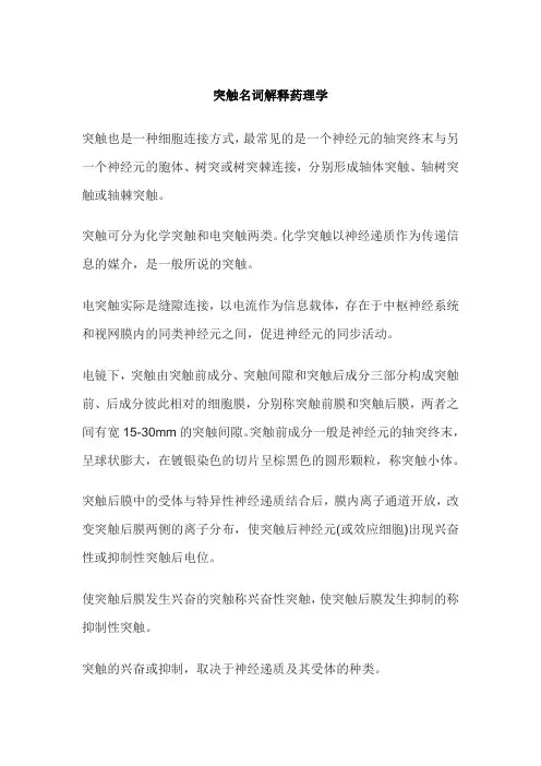 突触名词解释药理学