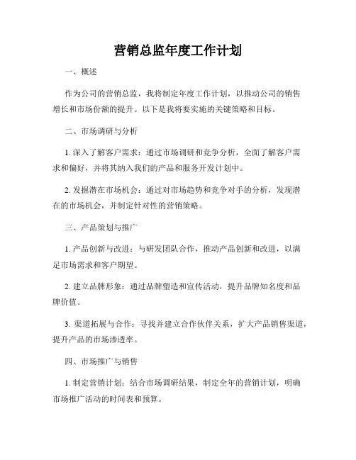 营销总监年度工作计划