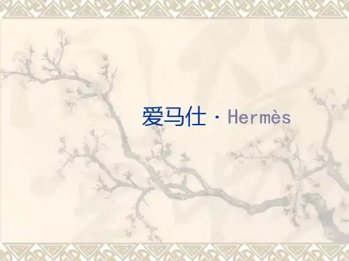 奢侈品皮革爱马仕品牌战略研究ppt课件