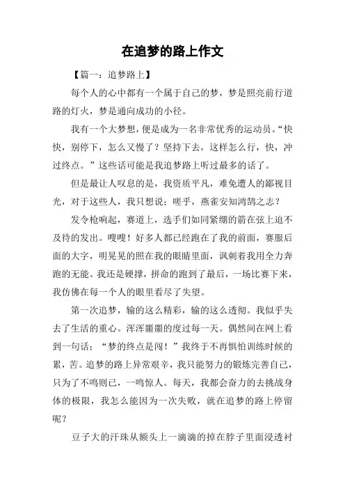 在追梦的路上作文