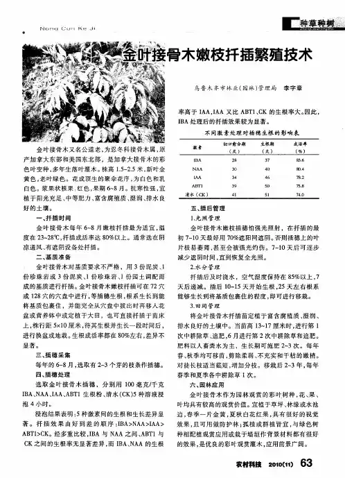 金叶接骨木嫩枝扦插繁殖技术
